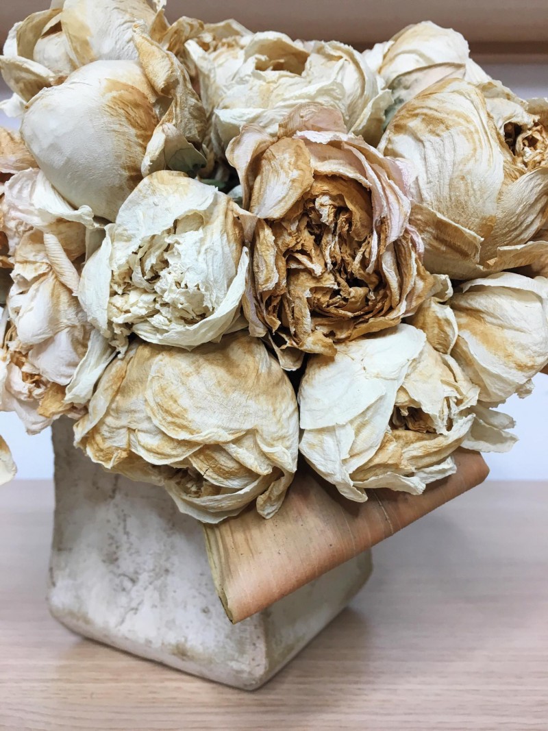 13016760_1303514159662284_1361411895_o