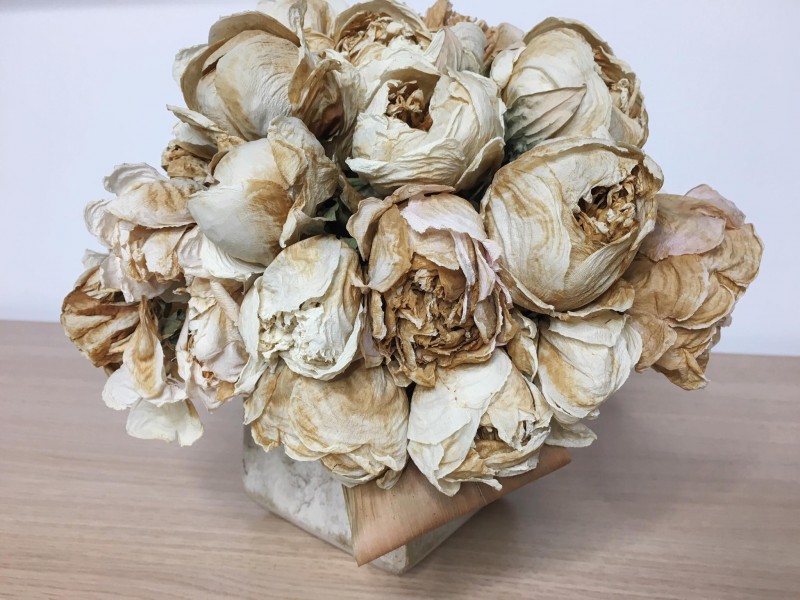 13035620_1303514186328948_818993995_o